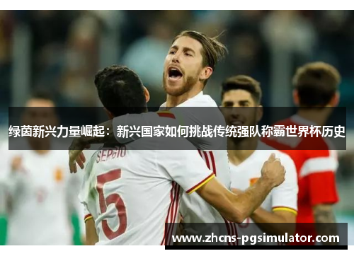 绿茵新兴力量崛起：新兴国家如何挑战传统强队称霸世界杯历史